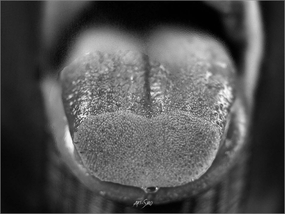 L'EFFLEUREMENT #2