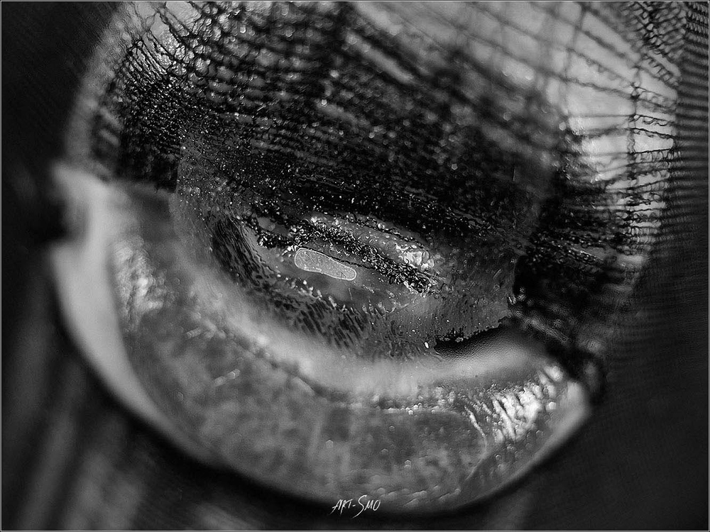 L'EFFLEUREMENT #2
