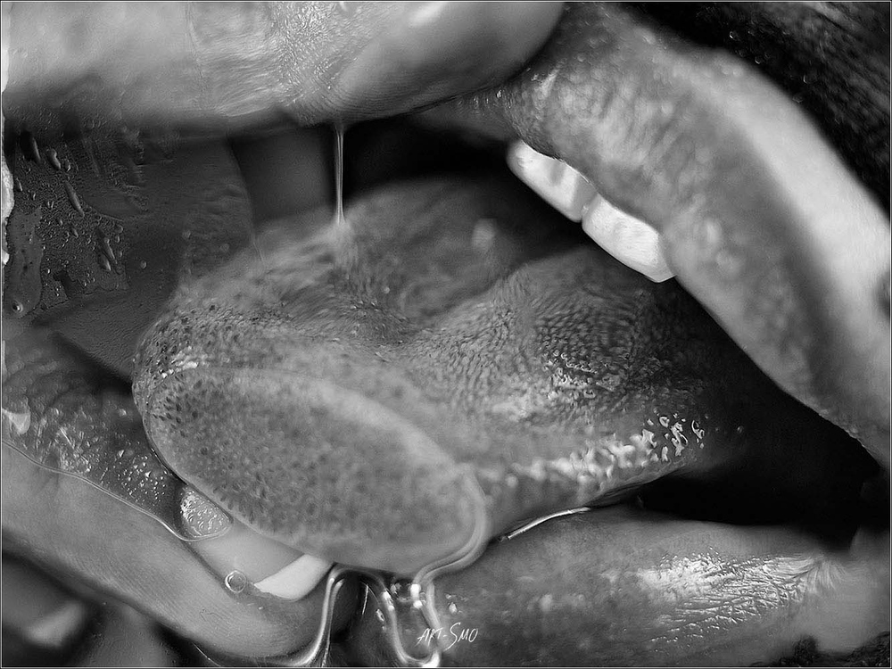 L'EFFLEUREMENT #2