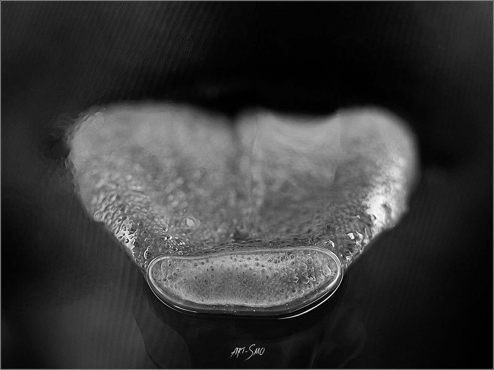 L'EFFLEUREMENT #2