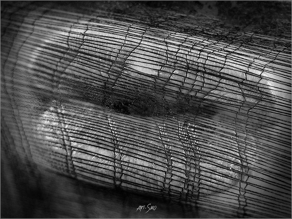 L'EFFLEUREMENT #2