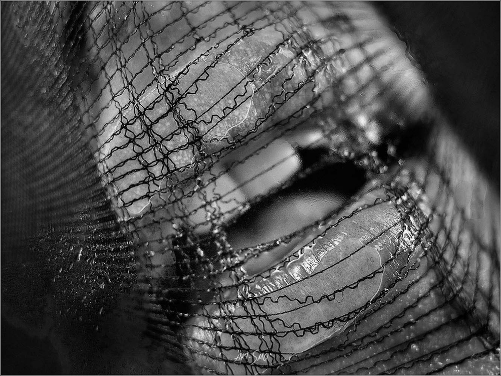 L'EFFLEUREMENT #2