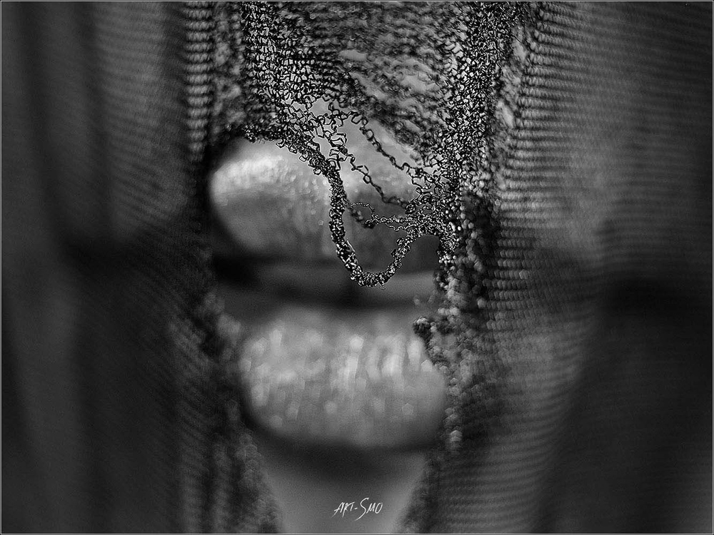 L'EFFLEUREMENT #2