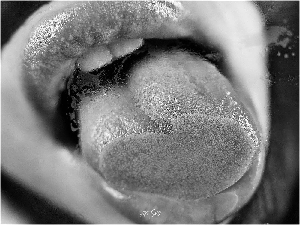 L'EFFLEUREMENT #2