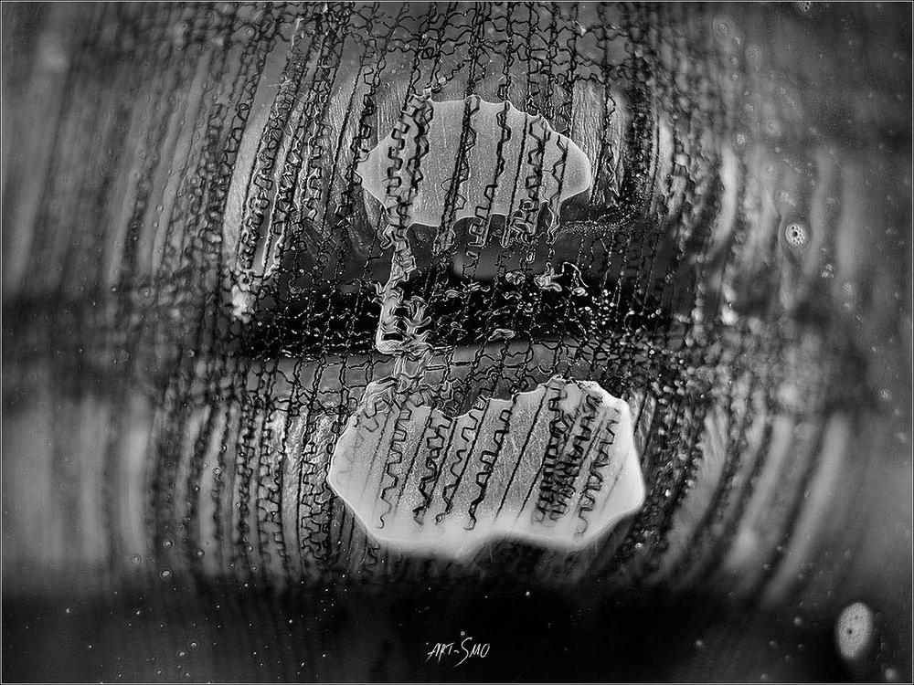 L'EFFLEUREMENT #2