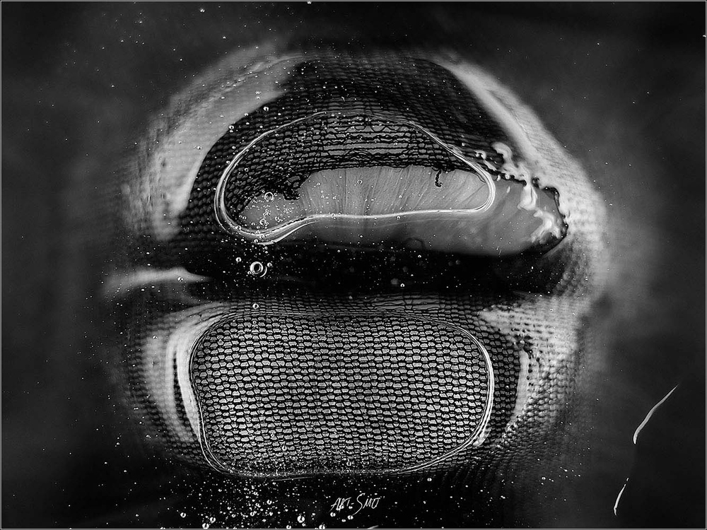 L'EFFLEUREMENT #2