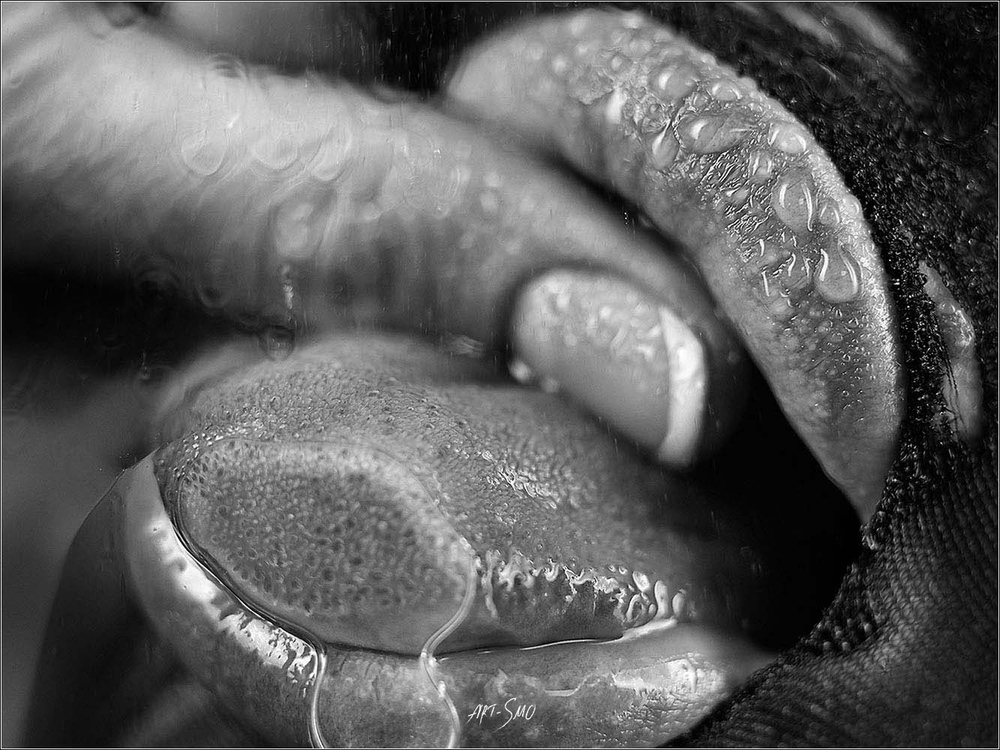 L'EFFLEUREMENT #2