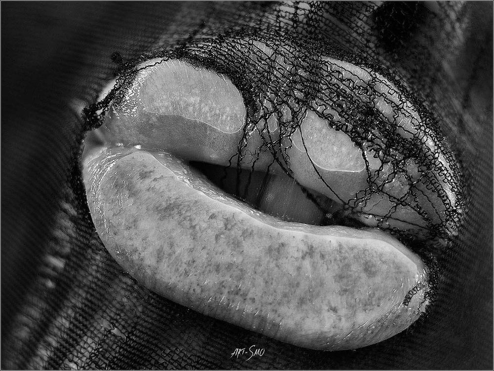 L'EFFLEUREMENT #2