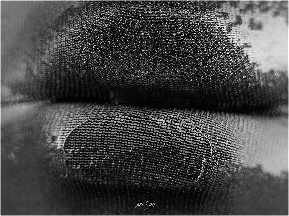 L'EFFLEUREMENT #2