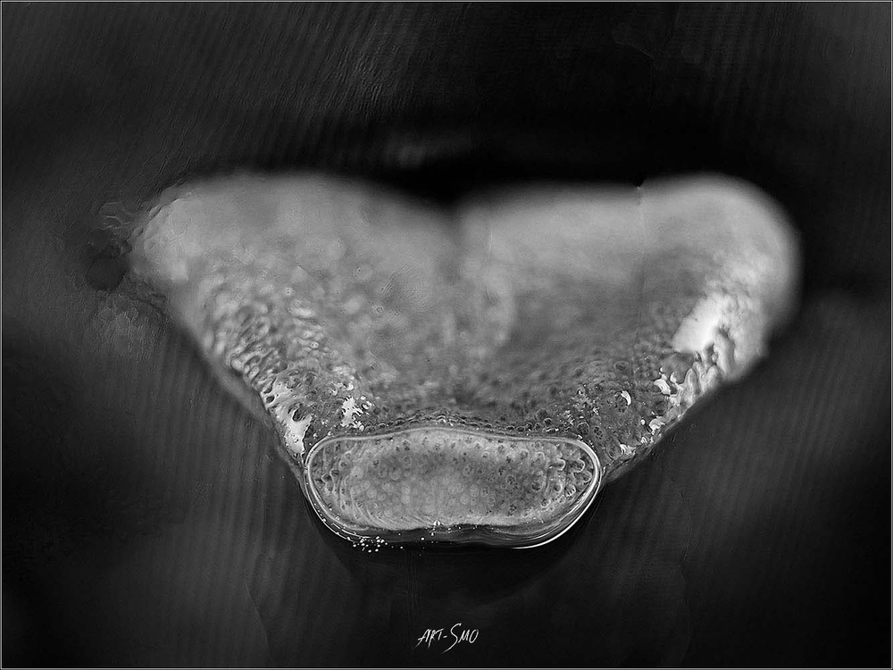 L'EFFLEUREMENT #2