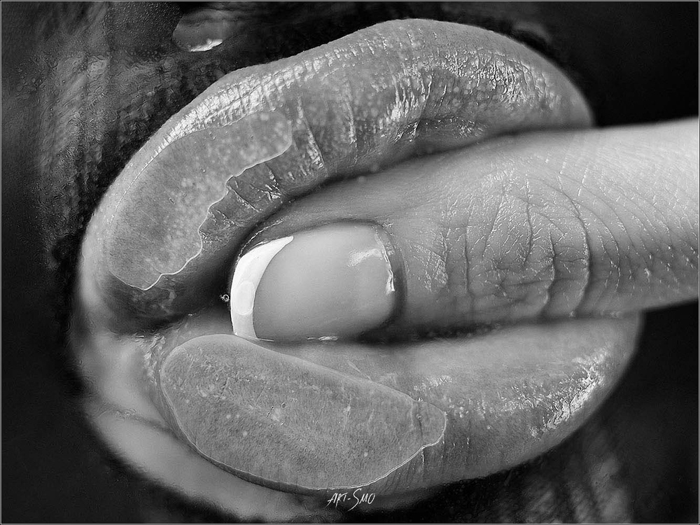L'EFFLEUREMENT #2
