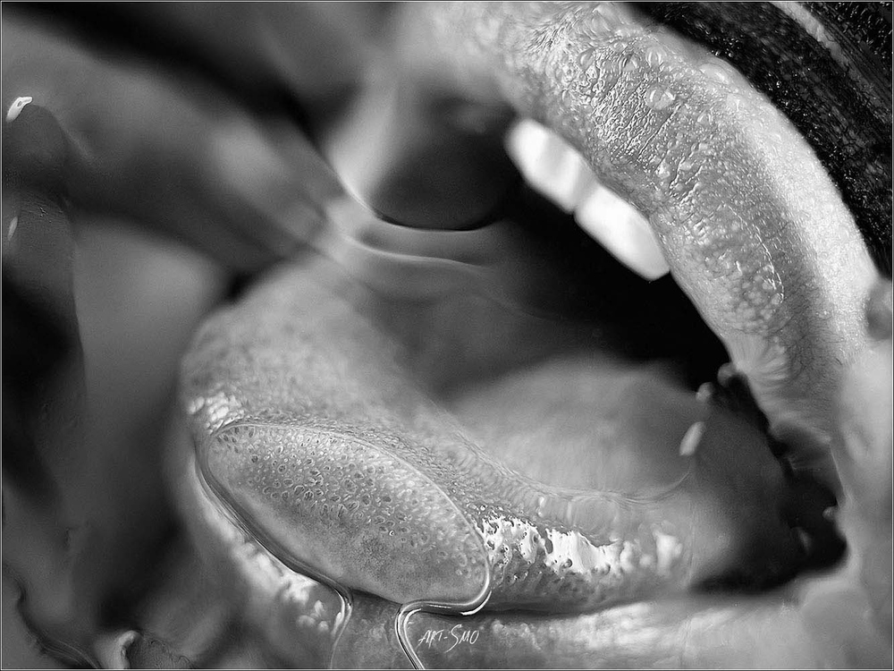 L'EFFLEUREMENT #2