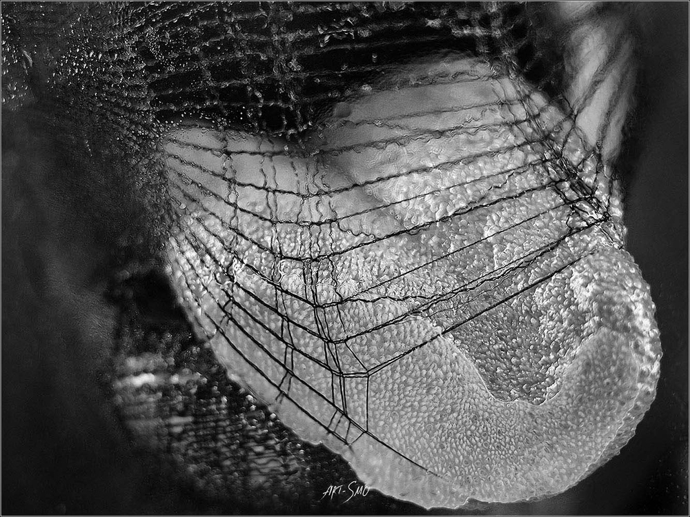 L'EFFLEUREMENT #2