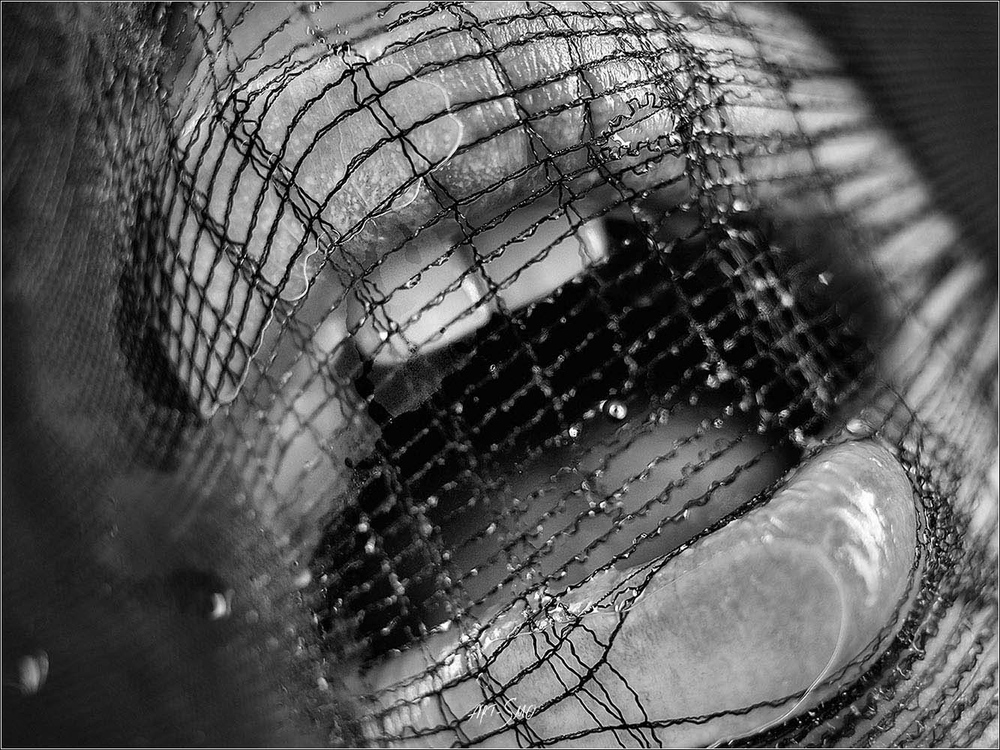 L'EFFLEUREMENT #2