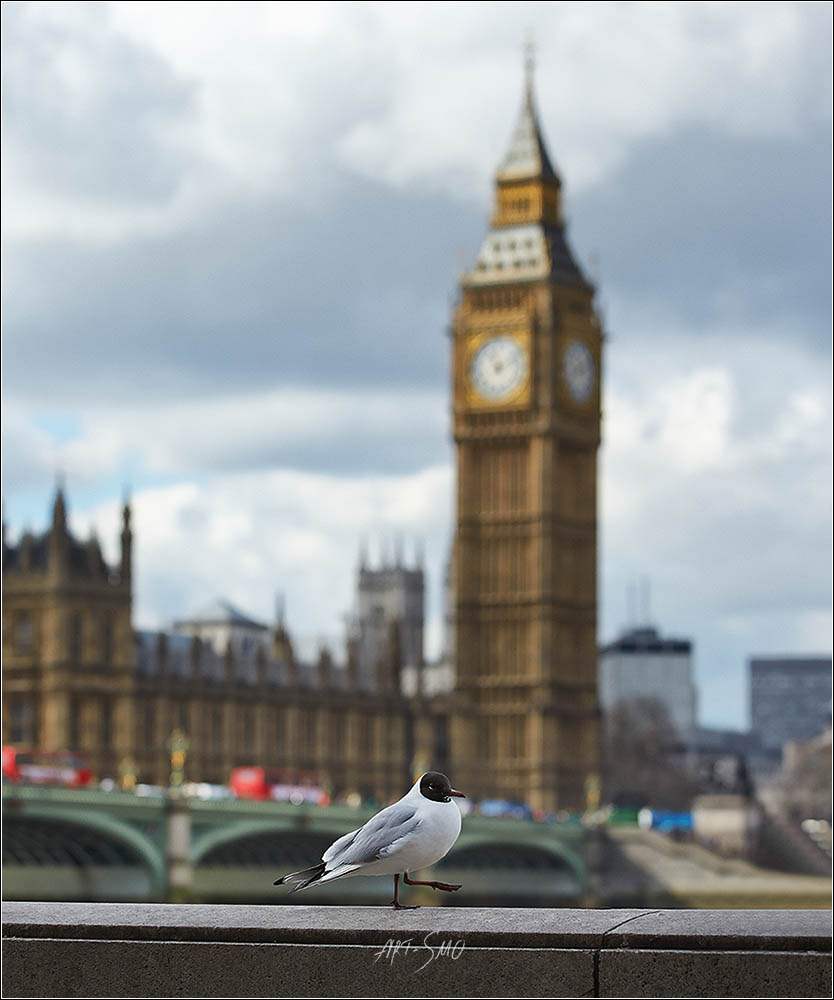 LONDON UK