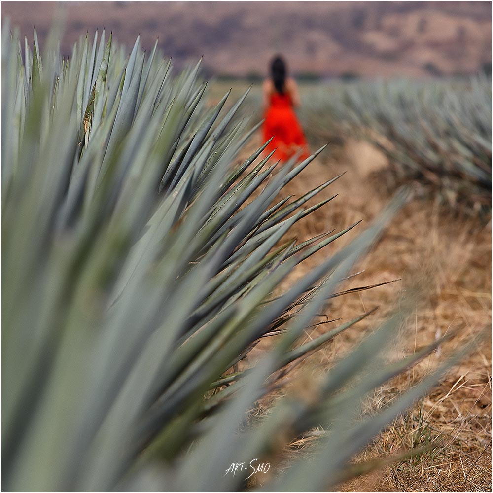 MEXICO