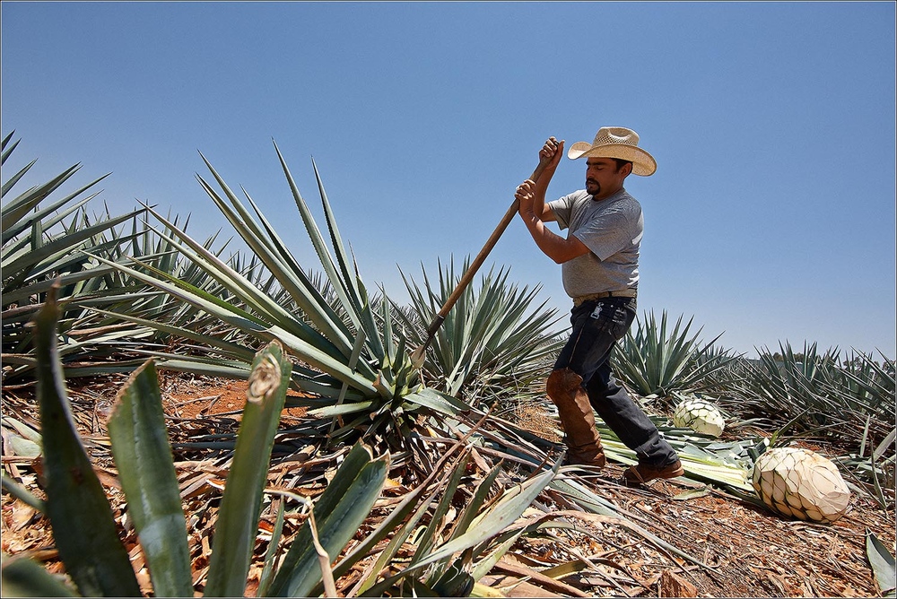 MEXICO