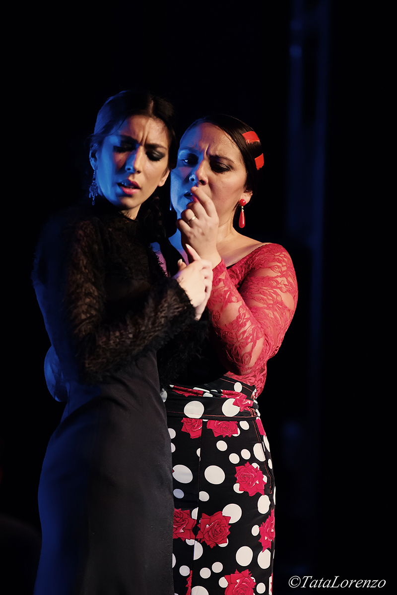 Con otros ojos 2014