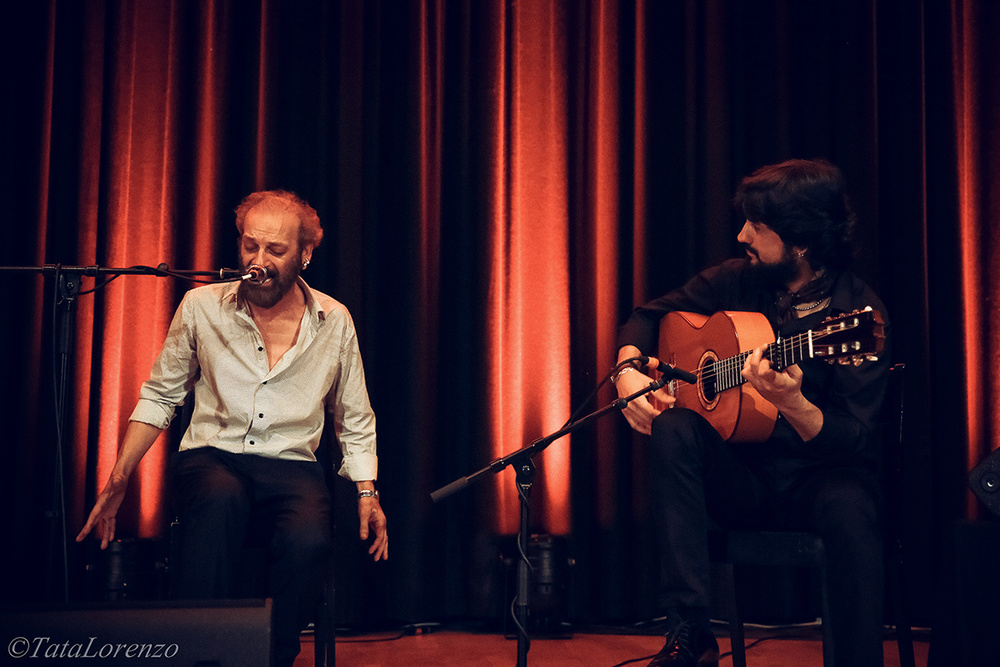 Flamenco 2