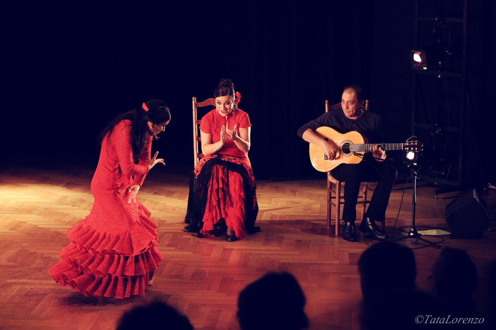 Konzert  Rigiblick 2013