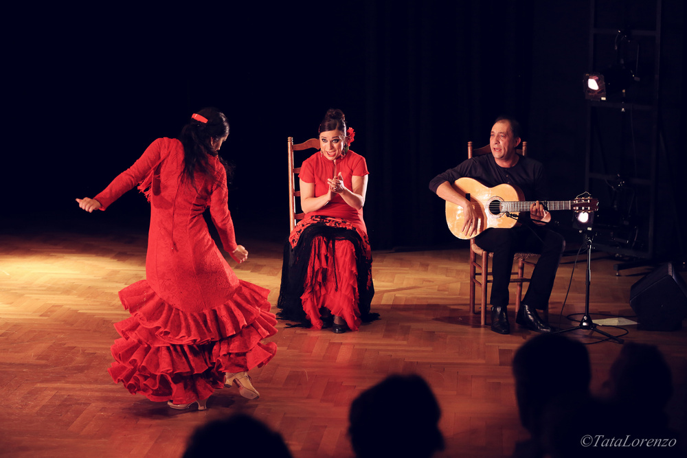 Konzert  Rigiblick 2013