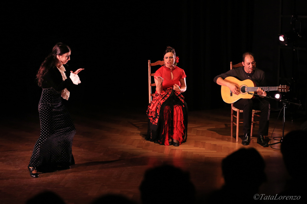Konzert  Rigiblick 2013
