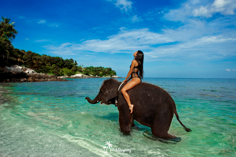 Шри ланка девушки. Девушка на слоне. Фотосессия со слоном. Шри Ланка девушки на пляже. Слон с девушкой Тайланд.