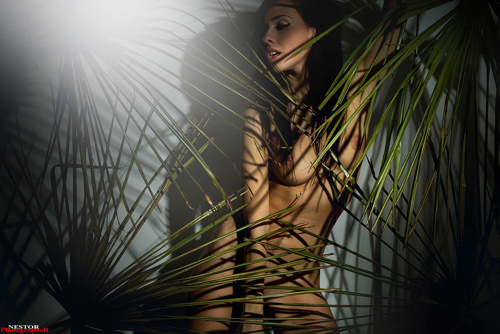 Sombras  &  Luces