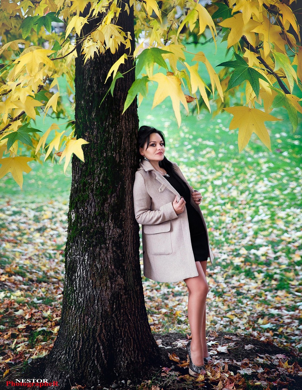 Foto-Blogger