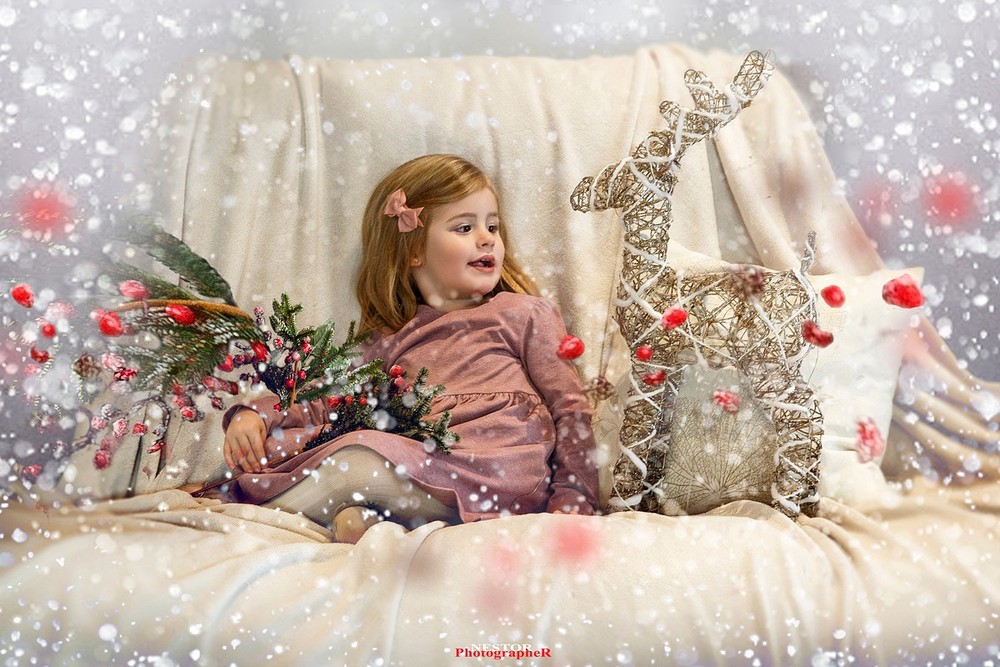 Navidad Sesion