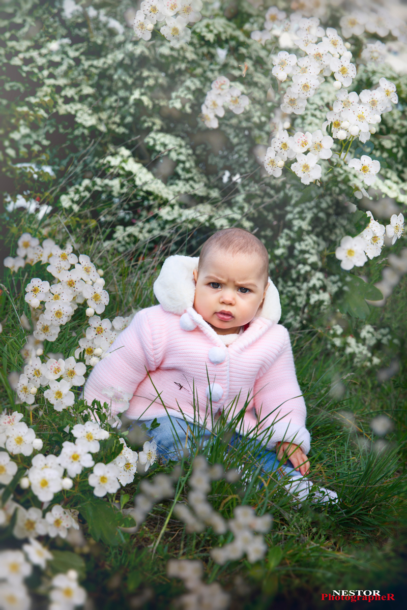 My Veronica