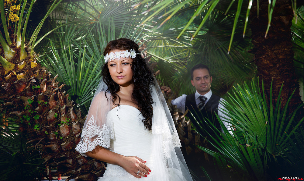 The Perfect Wedding