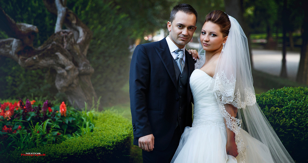 The Perfect Wedding