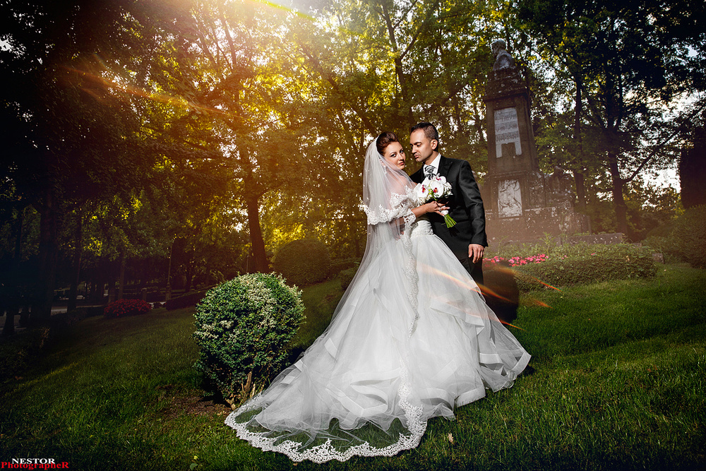 The Perfect Wedding