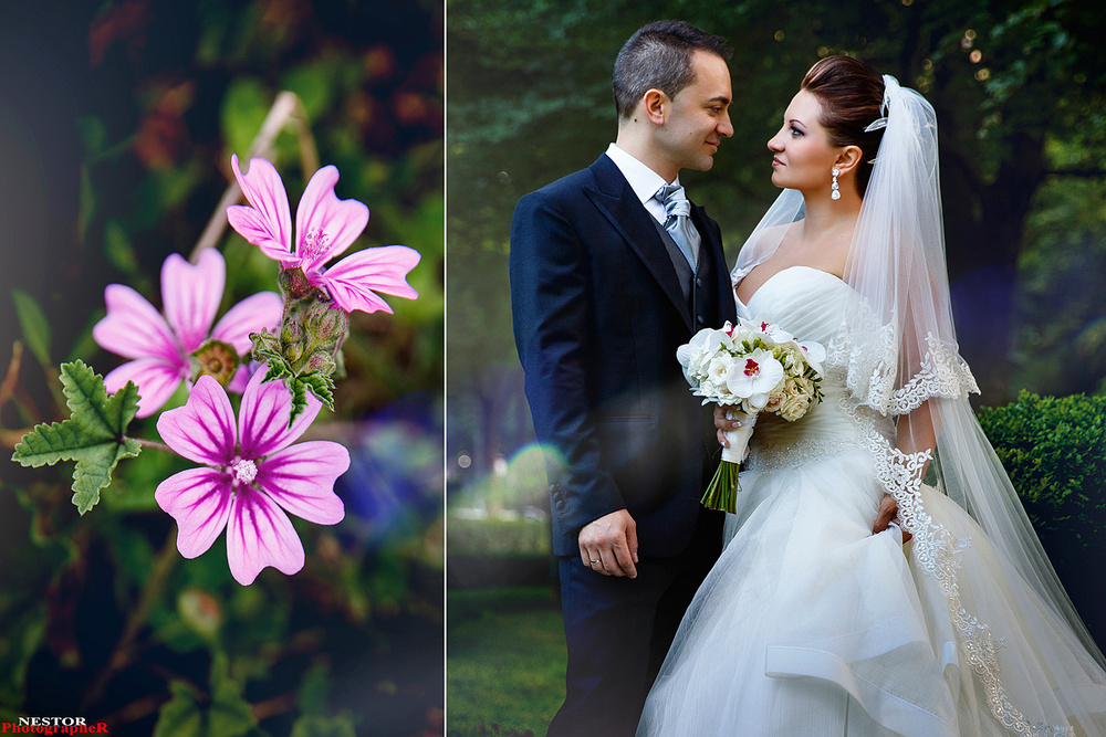 The Perfect Wedding