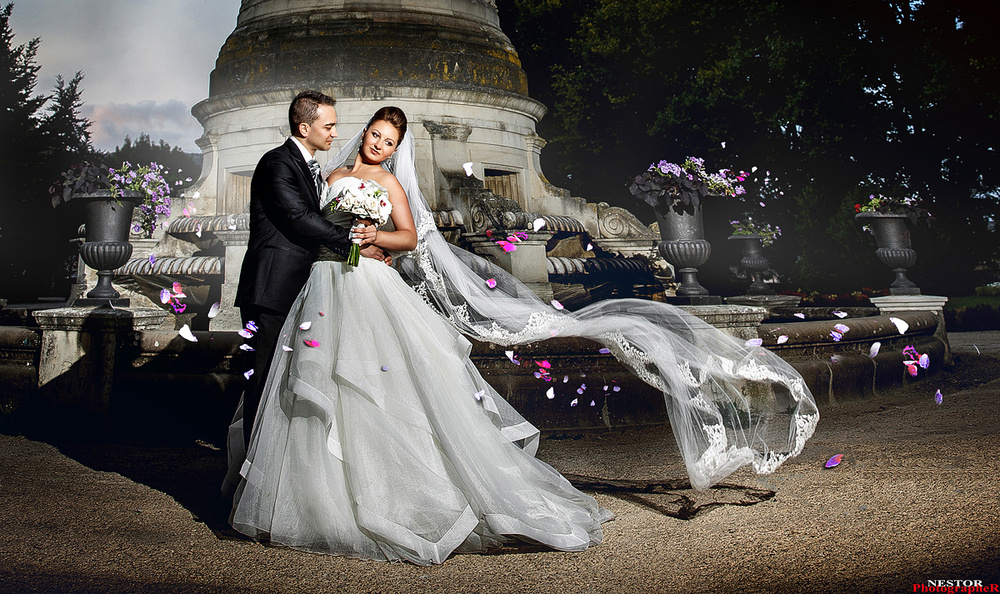 The Perfect Wedding