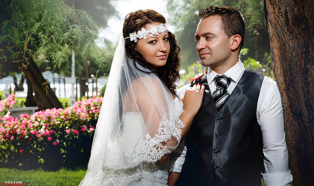 The Perfect Wedding