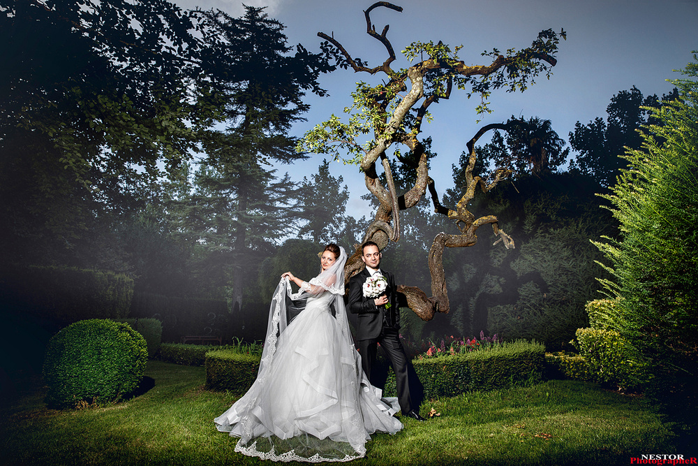 The Perfect Wedding