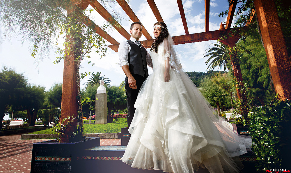 The Perfect Wedding