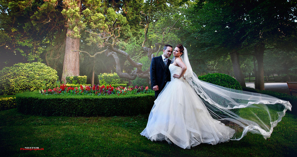 The Perfect Wedding