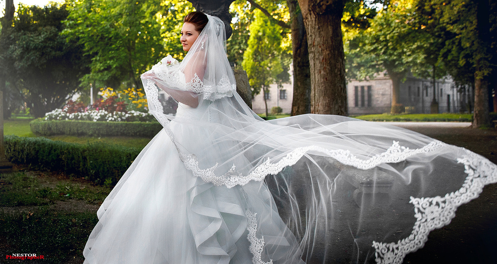 The Perfect Wedding