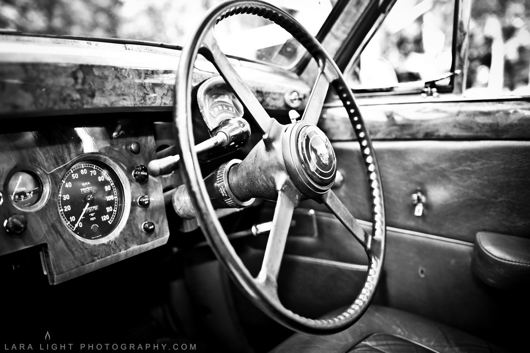 Weddings | Ekaterina and Christopher | Ku-ring-gai Chase