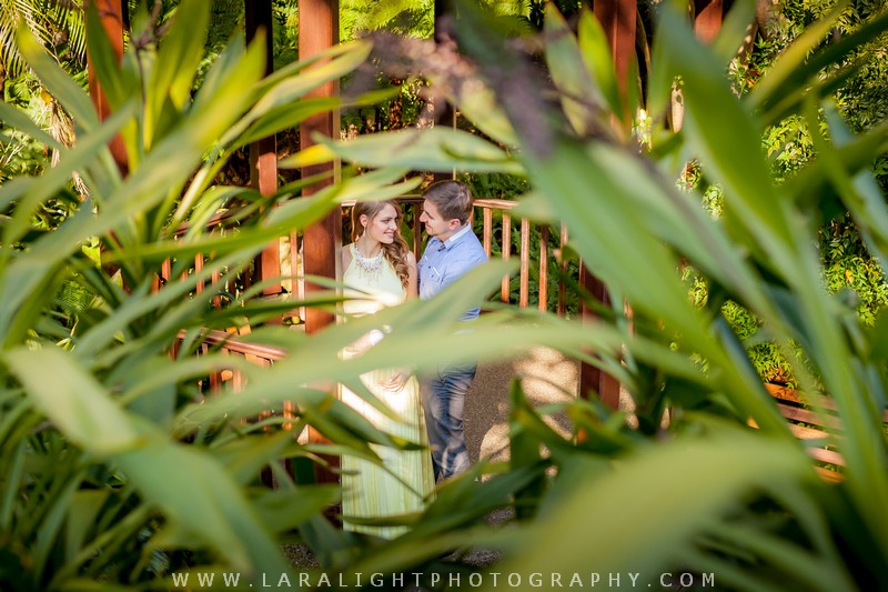 MATERNITY | Daria and Alex | Camellia Gardens Maternity Photography