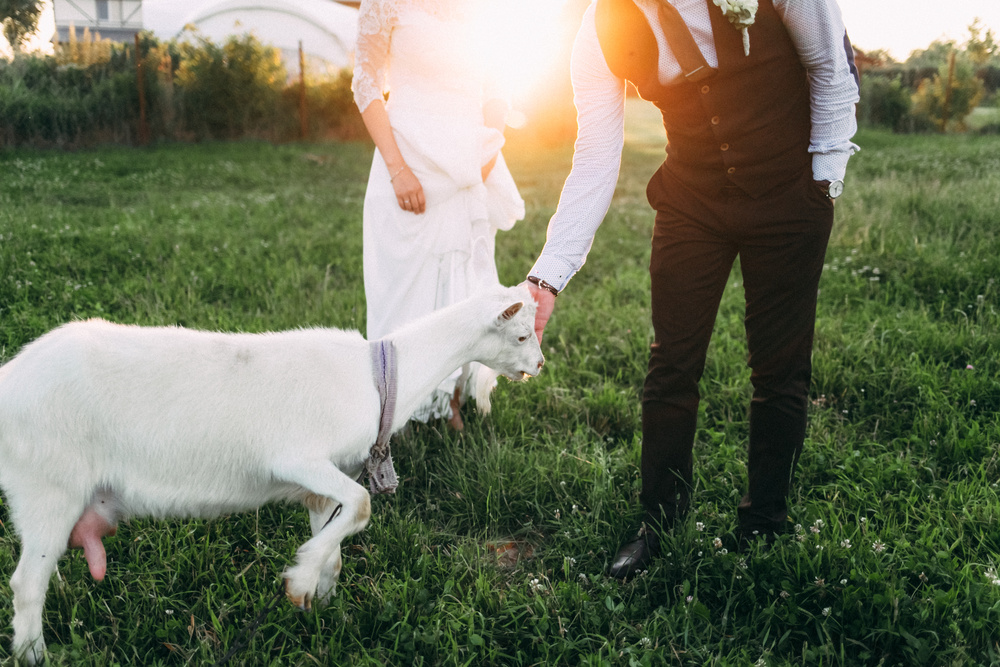 Женя+Аня|wedding|2016