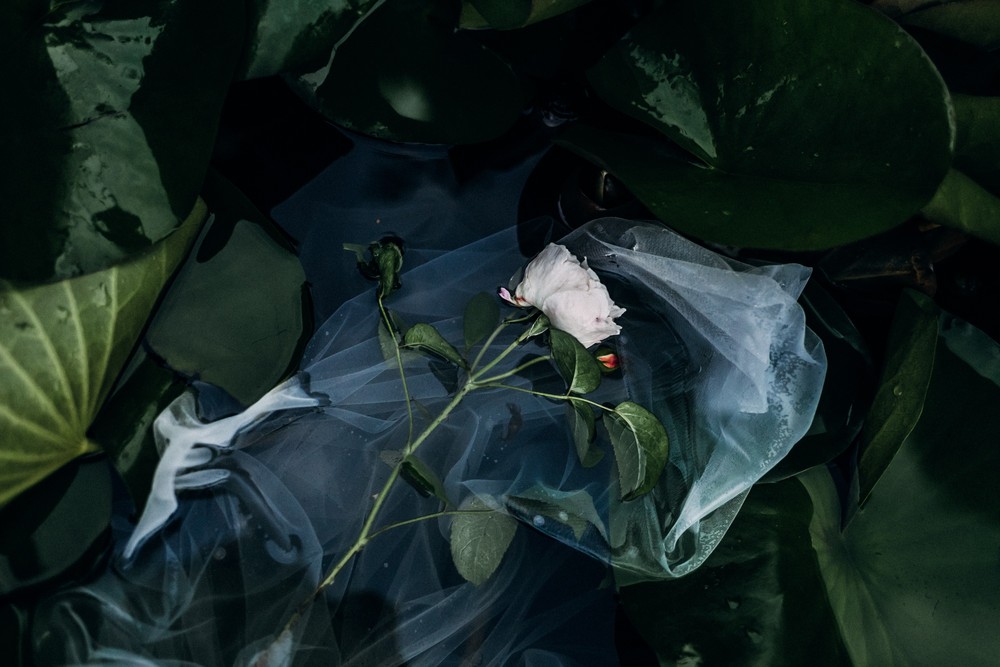 Olga+Ilya|wedding
