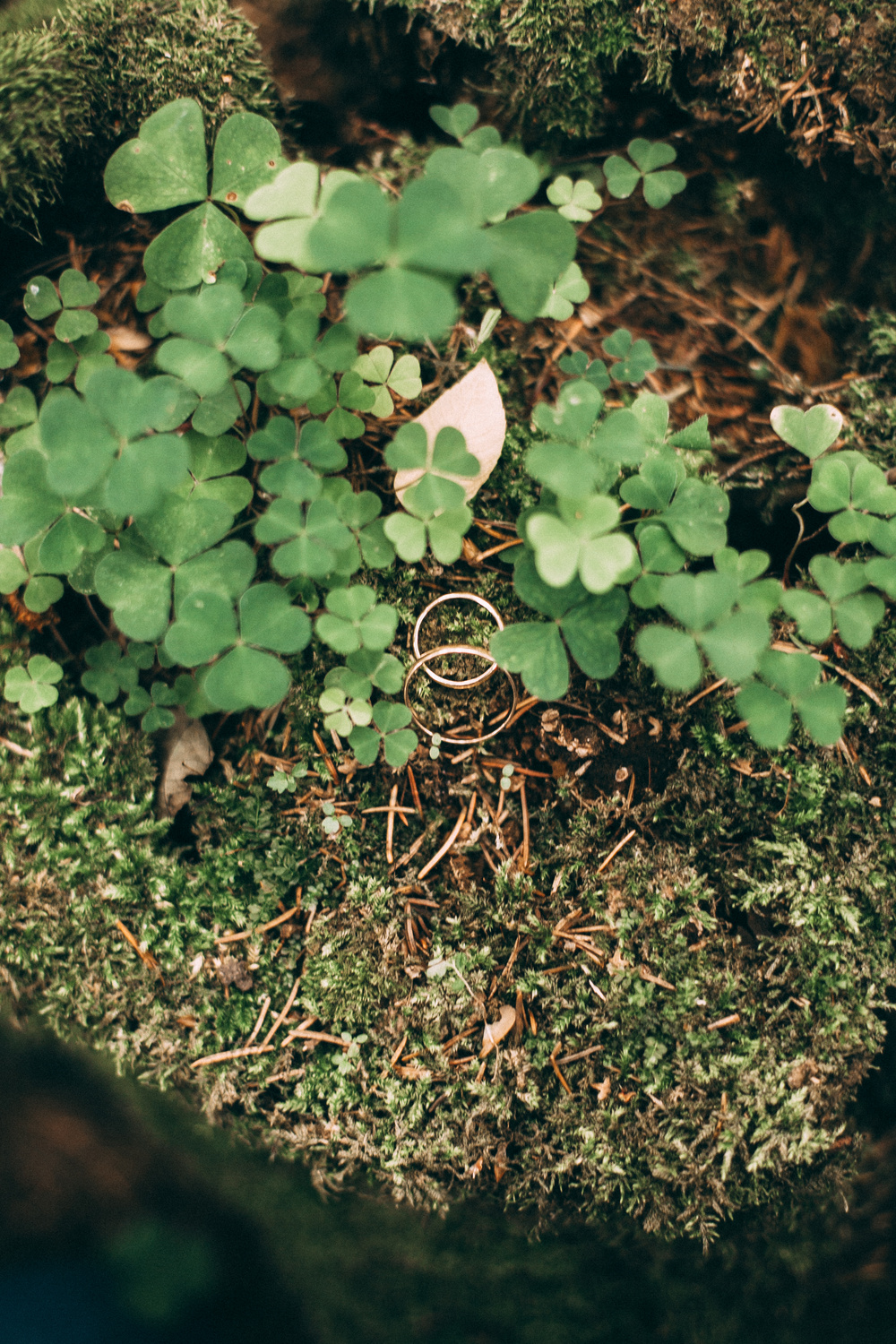 Андрей+Саша|wedding|2015