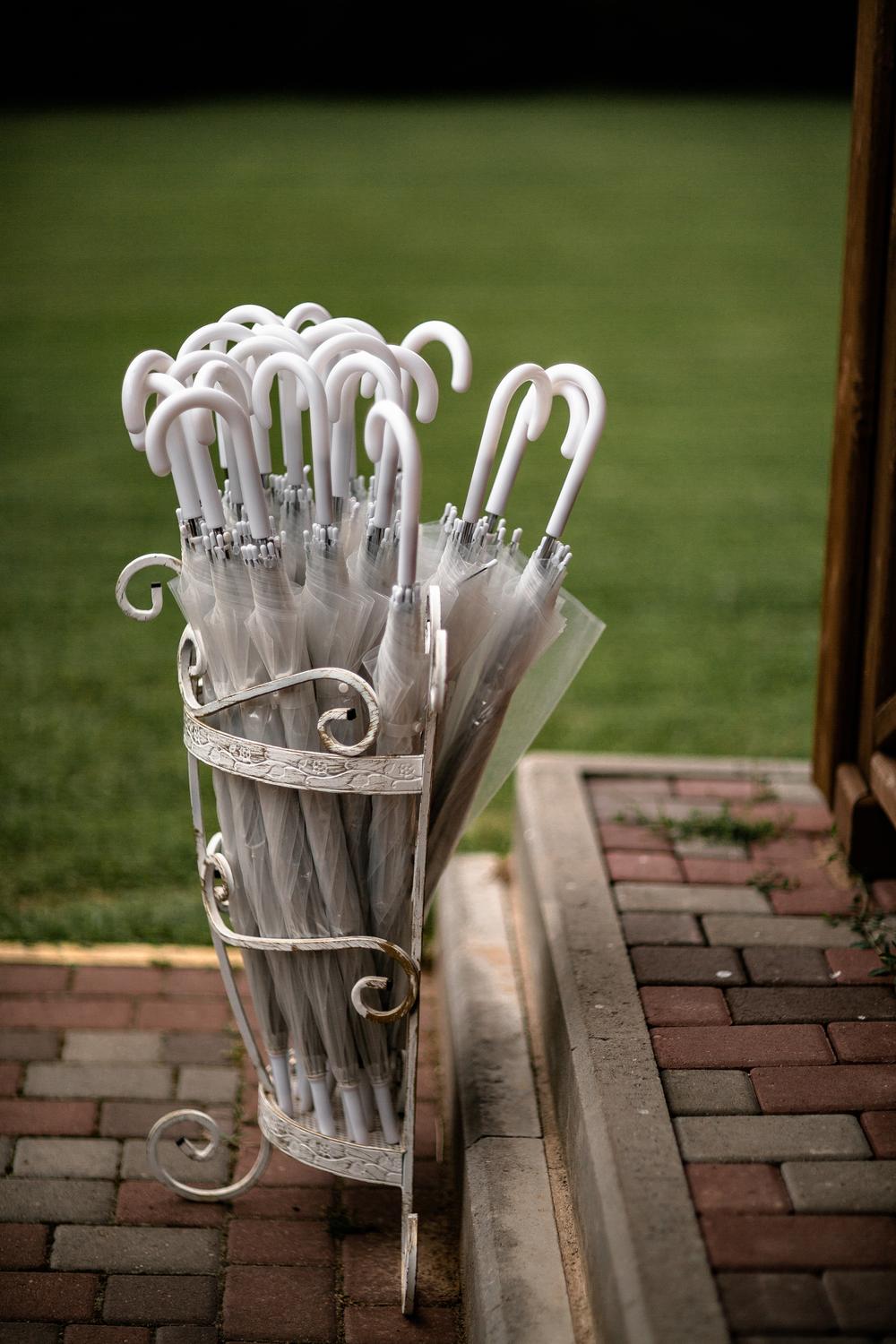 Any+George|wedding