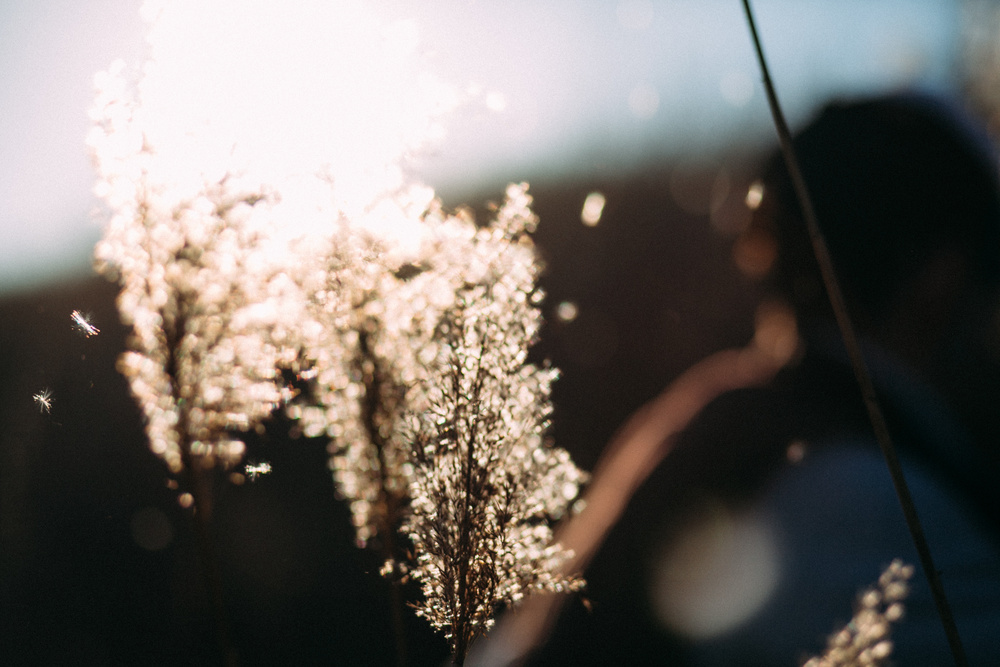 Julia+Dima|story