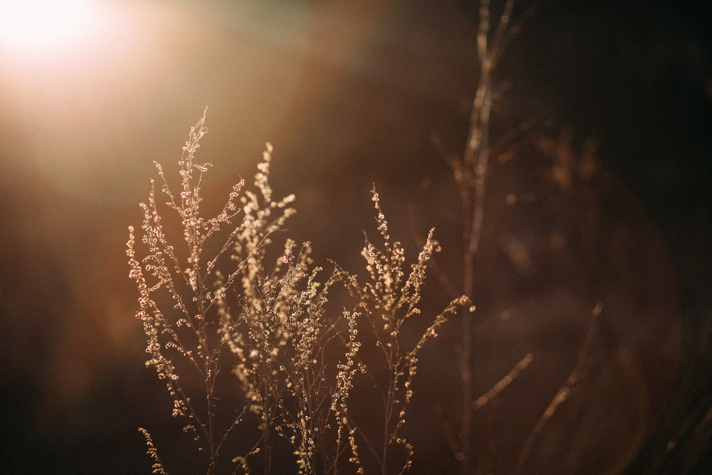Julia+Dima|story