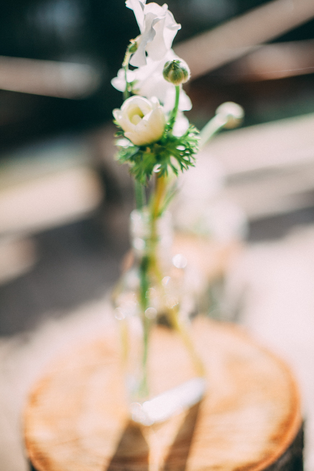 Саша+Юля|wedding|2015
